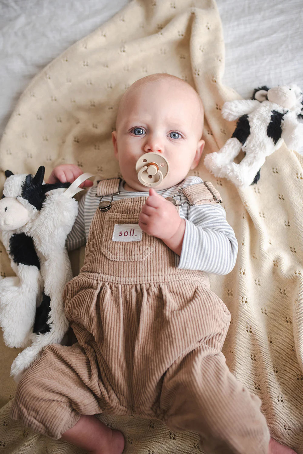 Mini Clover the Cow Rattle - Black