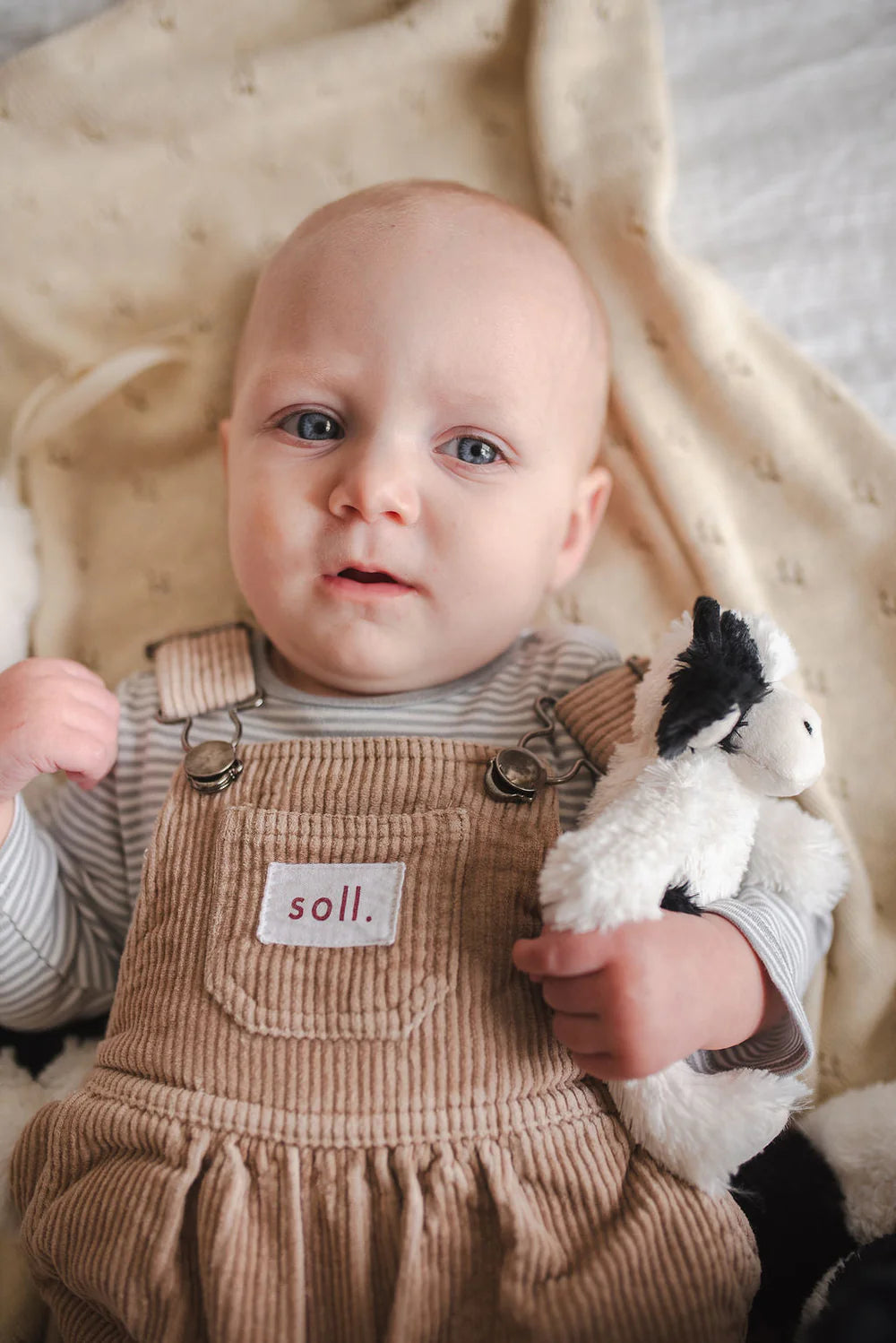 Mini Clover the Cow Rattle - Black