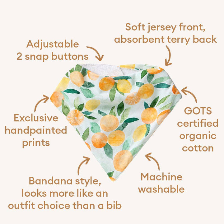 Citrus Squeeze Organic Dribble Bib