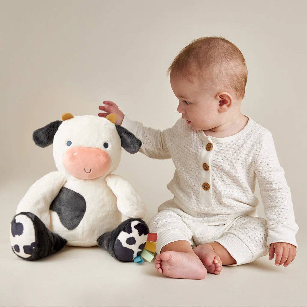 Sweetie Snuggles™ Plush