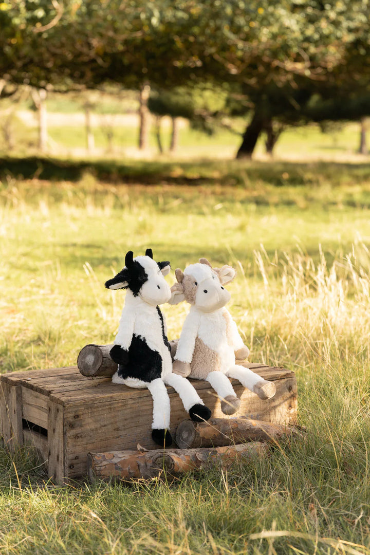 Double trouble - cutest pair of cows!