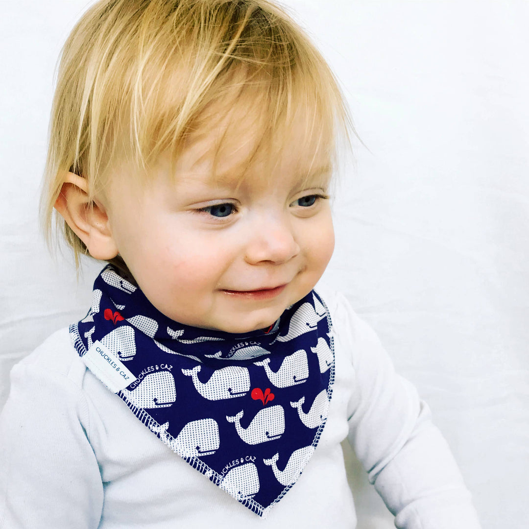 Navy & White Whales Dribble Bib