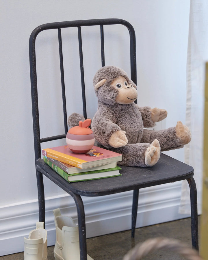 Maisie the Monkey