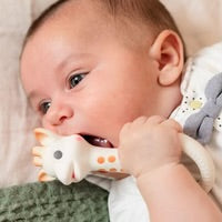 Sophie La Giraffe