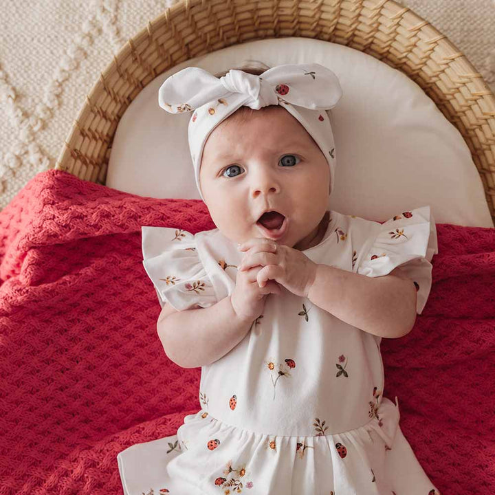 Ladybug Organic Dress