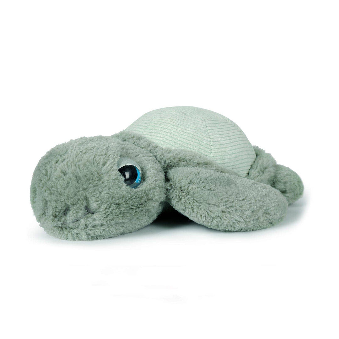 Little Tyler Turtle Soft Toy 7.8" / 20cm