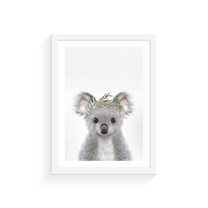 Baby Koala Eucalyptus Crown