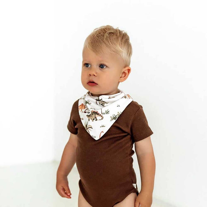 Dino Organic Dribble Bib