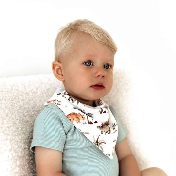 Dino Organic Dribble Bib