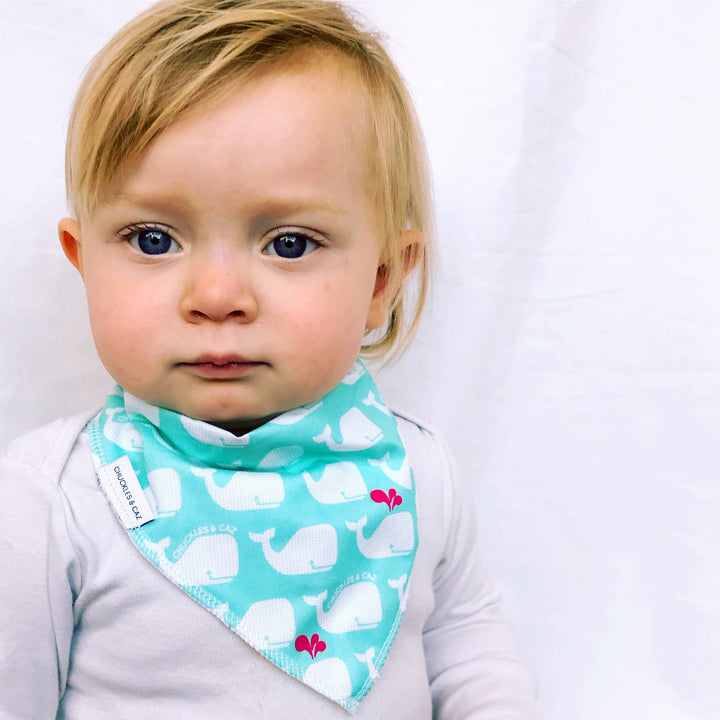 Aqua & White Whales Dribble Bib