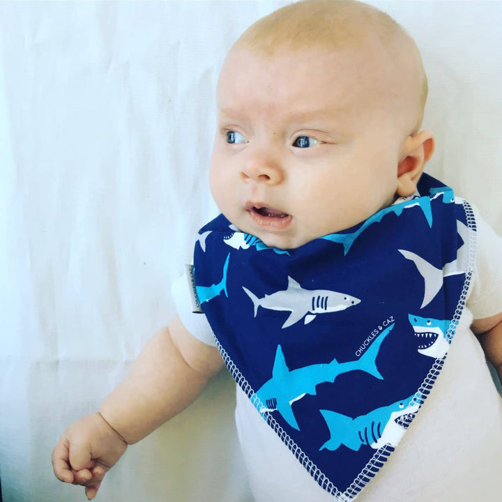 Shark Dribble Bib