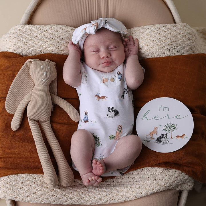 Dog Park Short Sleeve Organic Bodysuit