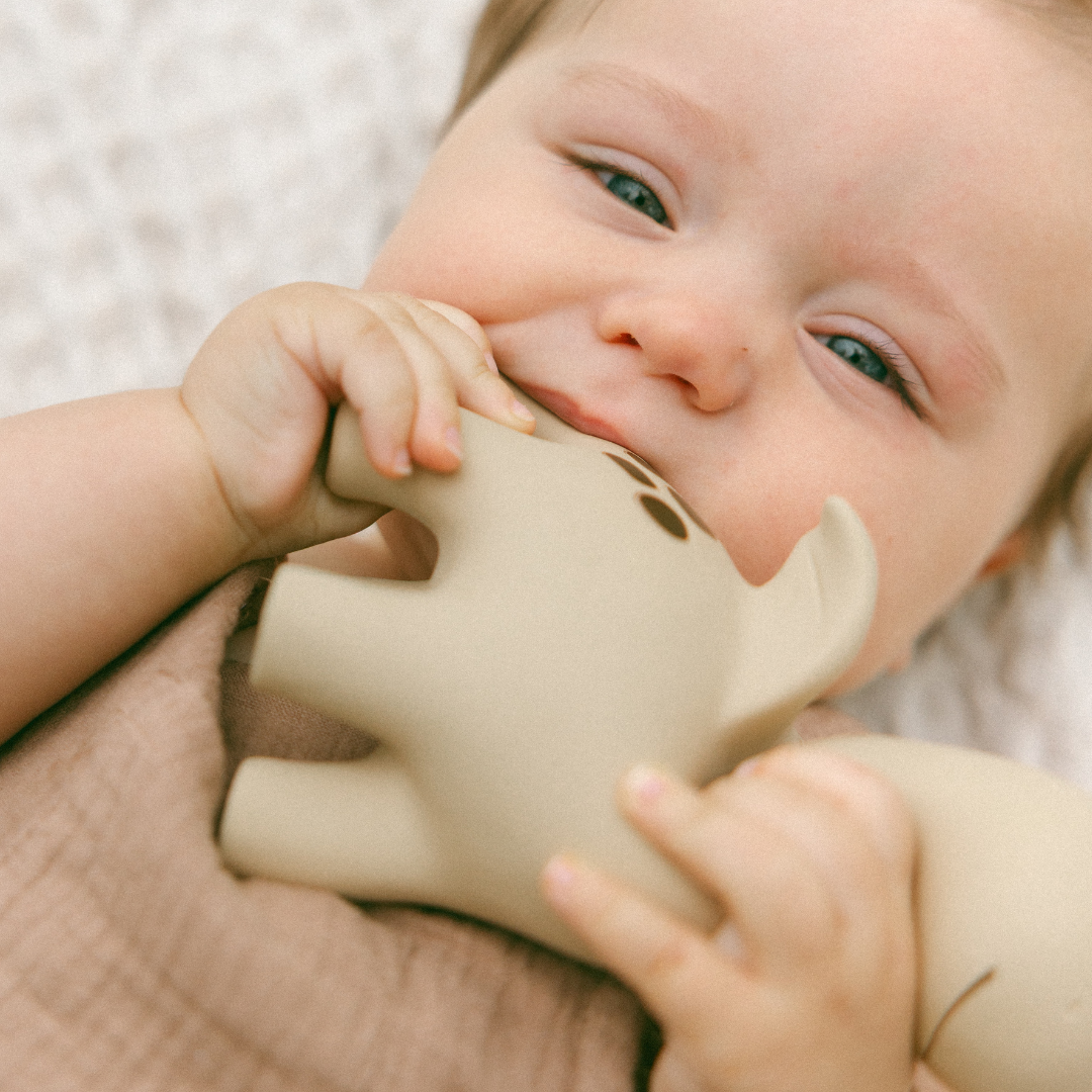 Diplo the Dino-Dragon Natural Rubber Teether