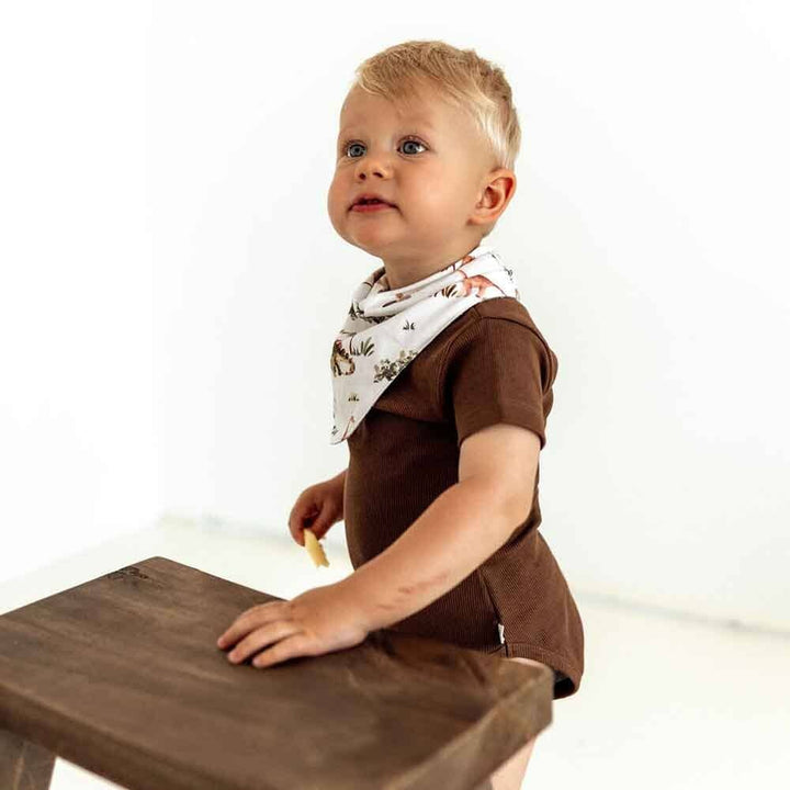 Dino Organic Dribble Bib