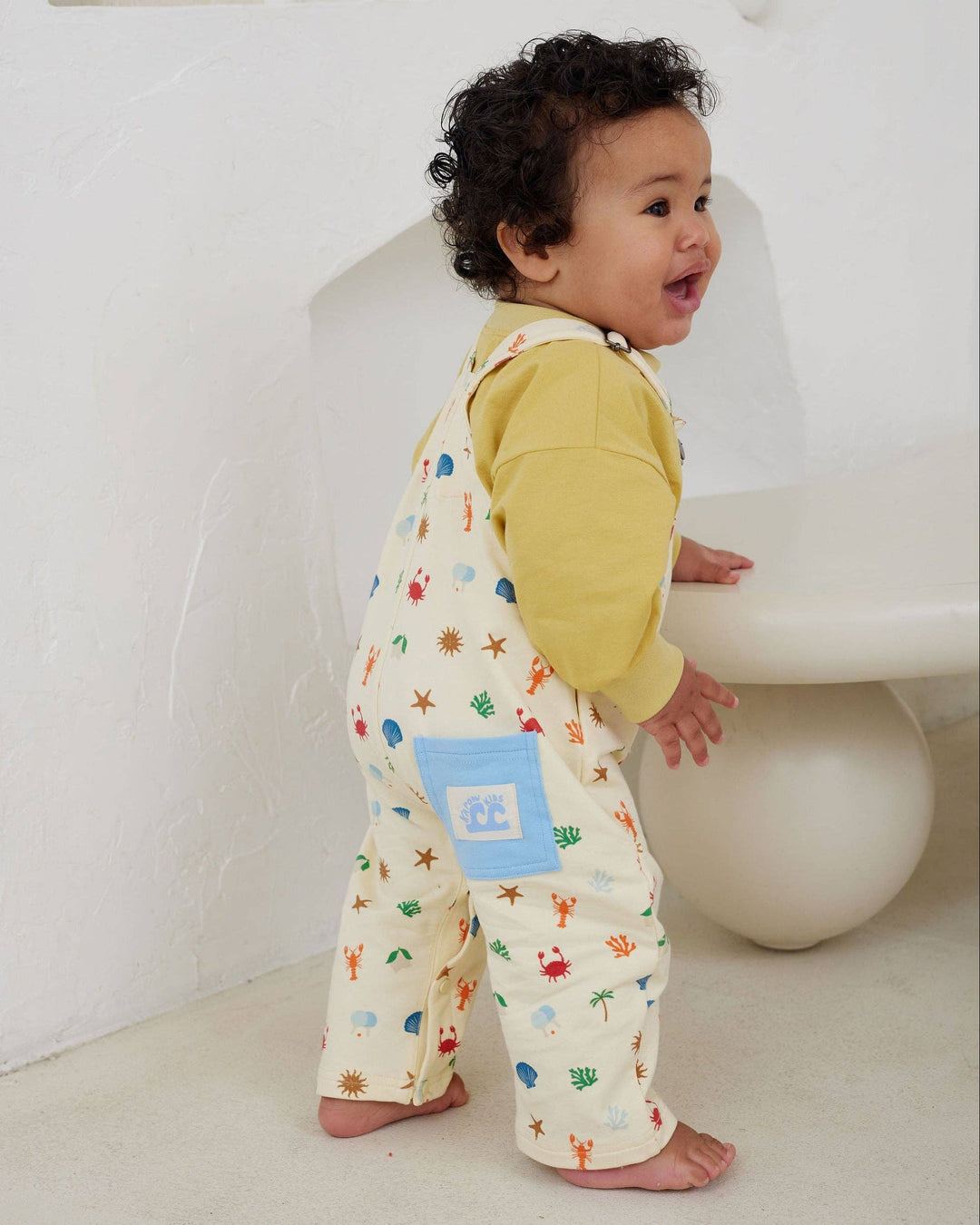 Endless Summer Overalls