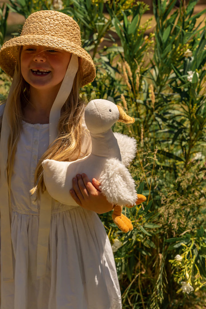 Snowy the Goose