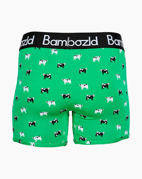 Mens Bamboo Trunks