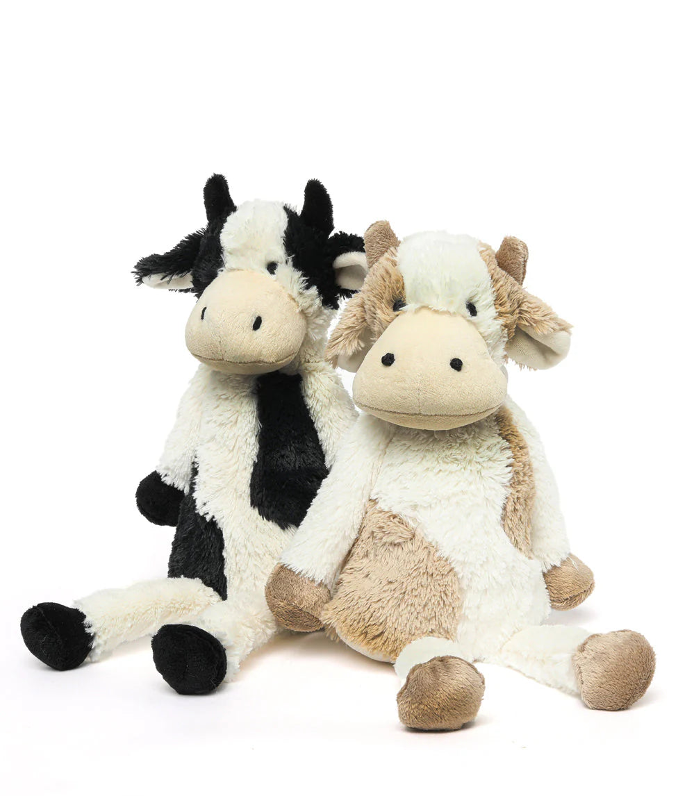 Double trouble - cutest pair of cows!