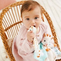 Baby Comforters & Security Blankets