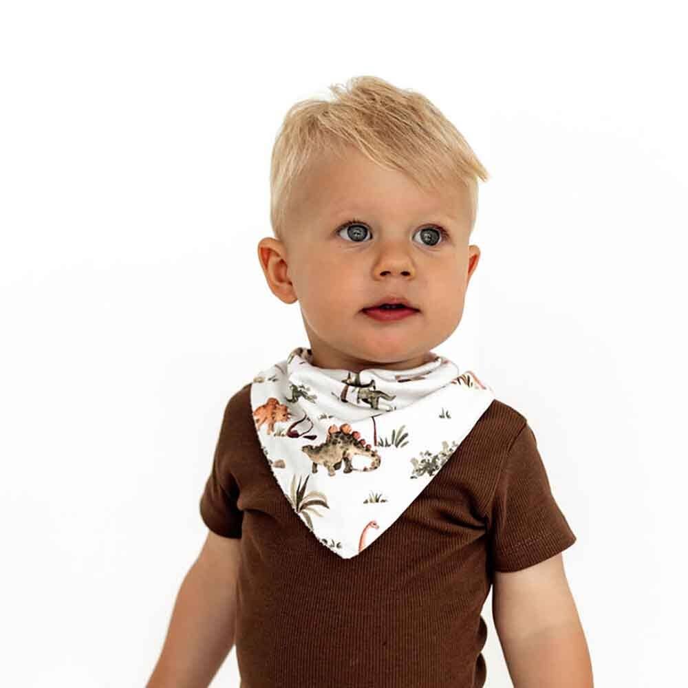 Dino Organic Dribble Bib