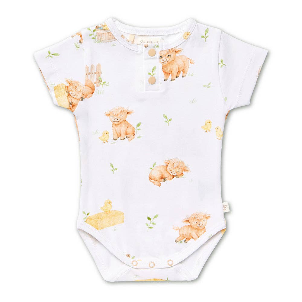 Baby Bodysuits