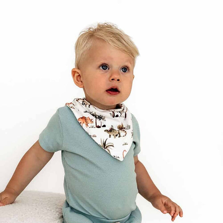 Dino Organic Dribble Bib