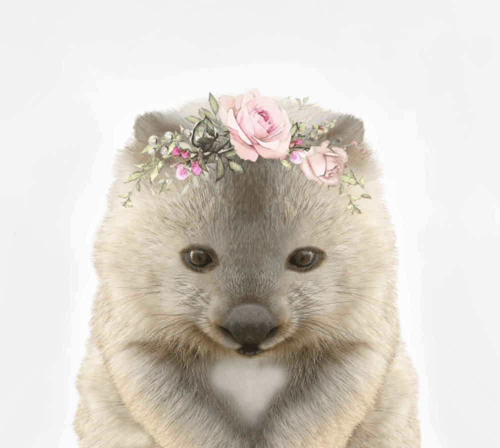 Baby Wombat Rose Crown