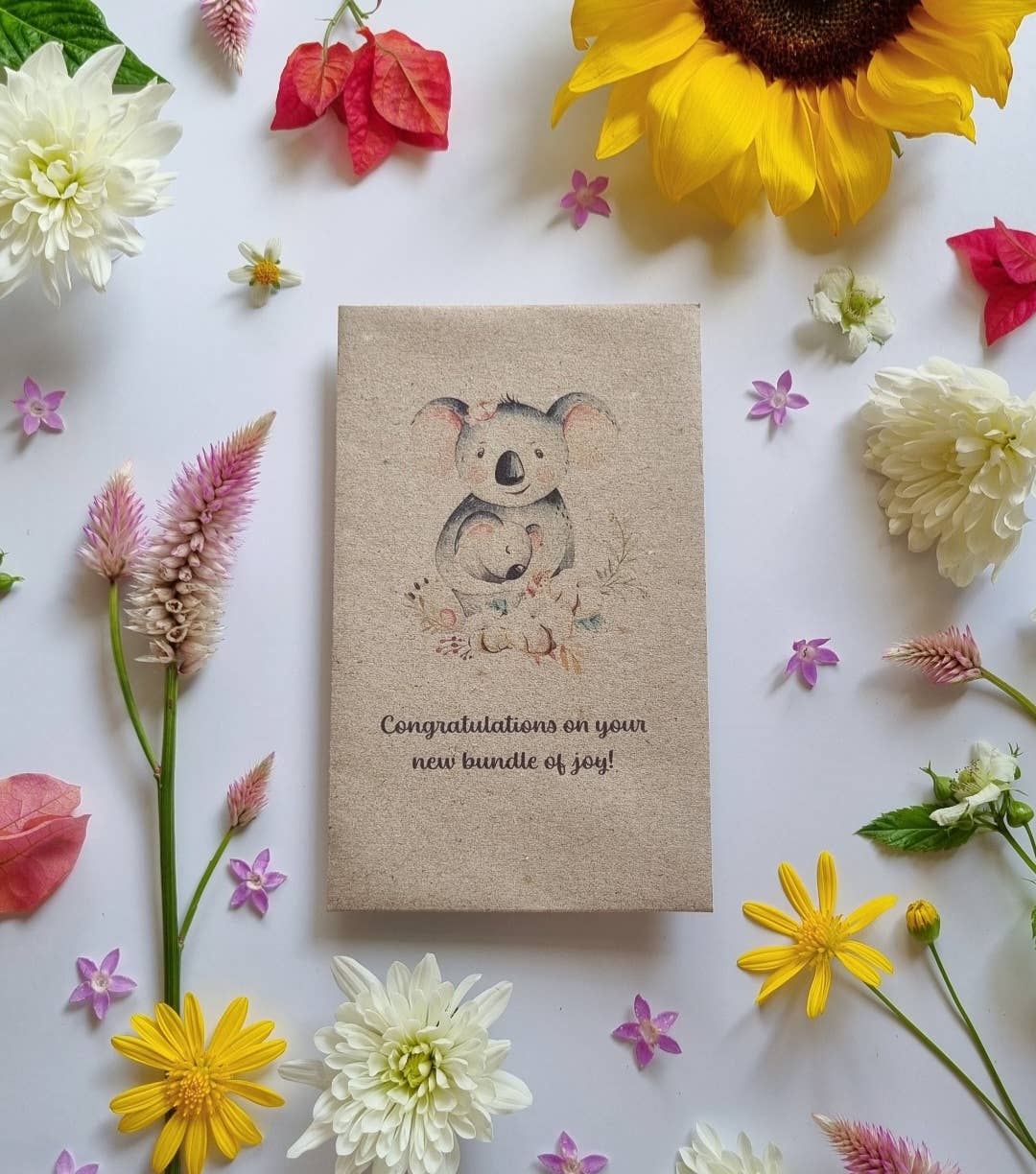 New Born Koala - Australian Flower Seeds