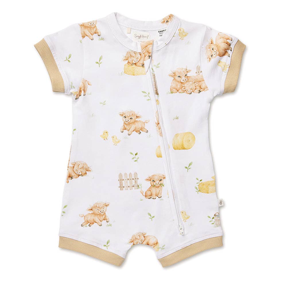 Baby Bodysuits