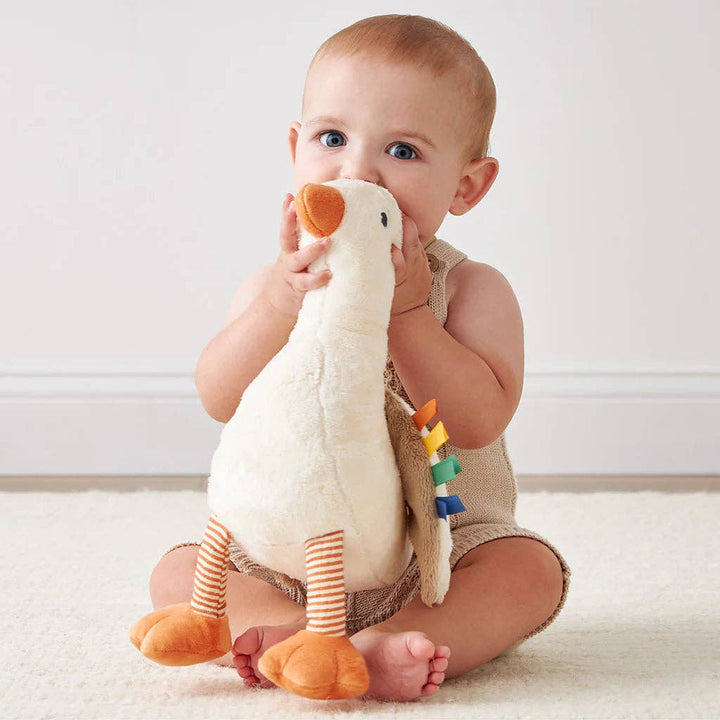 Sweetie Snuggles™ Plush