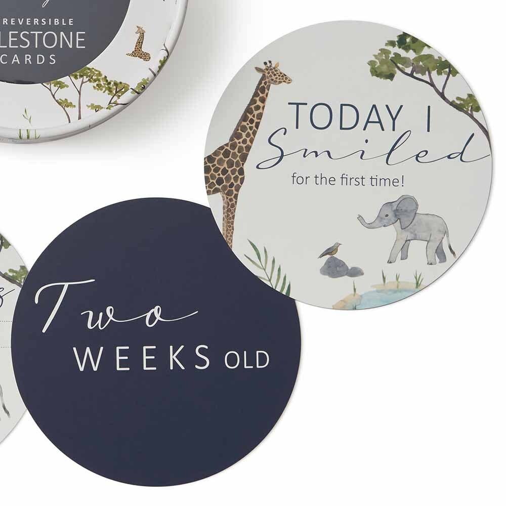 Safari & Navy Reversible Milestone Cards