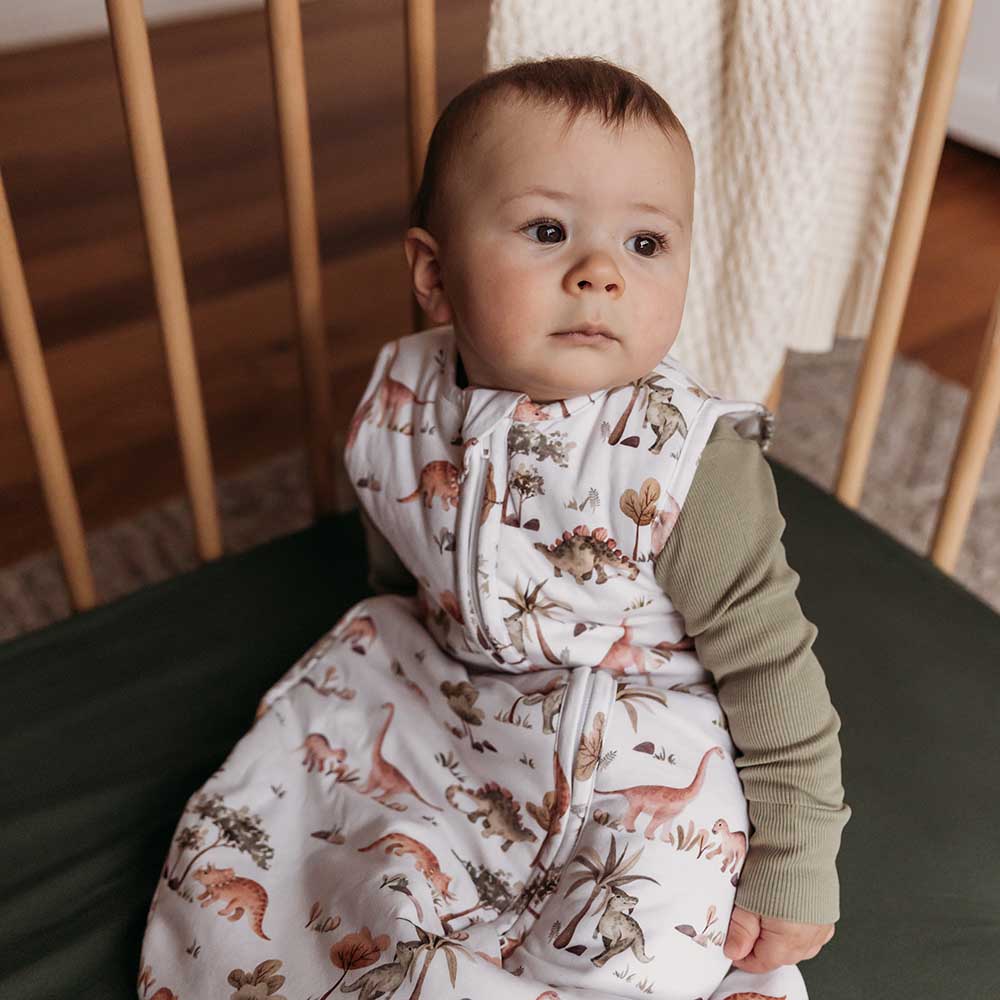 Dino Organic Sleeping Bag 2.5 Tog